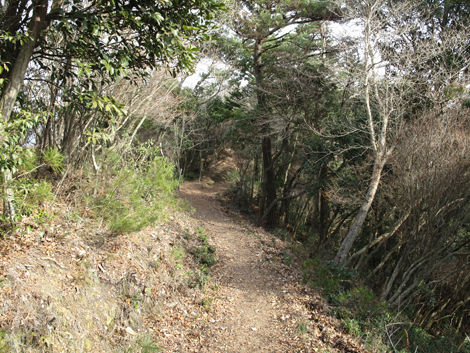 20140102hike (184)